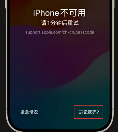榆阳苹果手机密码维修分享iPhone忘记了刚设置的密码 
